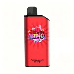 BIMO ONE 9000 Puffs Review – Best Alibarbar Ingot 9000 Alternative in Australia?