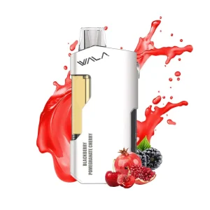 compressed_imgi_108_Blackberry-Pomegranate-Cherry.webp Wala YO 18000 Puffs Blackberry-Pomegranate-Cherry